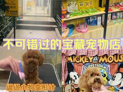 -Pets First伊珊娜洗护·精致美容·家庭式寄养(新会路店)