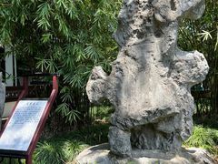 -上海醉白池公园