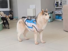 -怪兽屋·羊驼·猫咖·狗咖(俊华广场店)