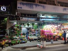 -溪岸路花鸟市场