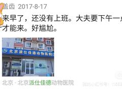 -北京派仕佳德动物医院·超导核磁·CT·神经科·骨科·内外科·急重症管理中心