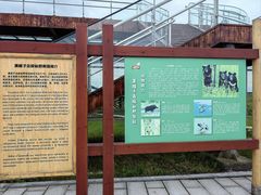 -黑瞎子岛探秘野熊园