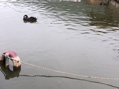 -无锡动物园·太湖欢乐园