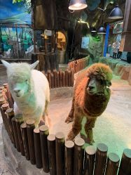 -宝燕乐园(闵行旗舰店)