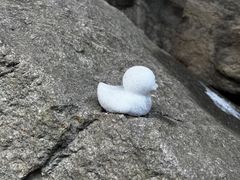 -秦岭终南山世界地质公园翠华山景区