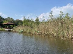 -同里国家湿地公园