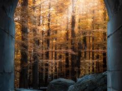 -国家植物园南园