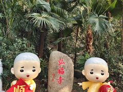 -深圳国际园林花卉博览园