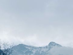 -黄龙山原始森林景区