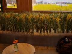 -中国天府农业博览园