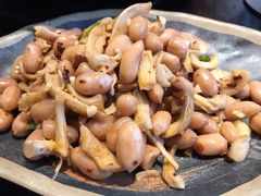 -韩江山烤肉音乐串吧(沈北新区店)