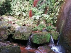 -赤水丹霞旅游区·佛光岩