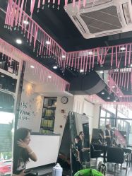 -风向标WIND VANE SALON