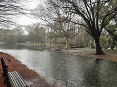 -上海共青森林公园