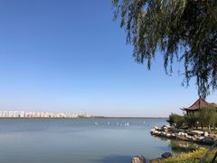-天津东丽湖风景区