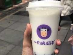 -一只酸奶牛(八一路店)