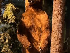 -陕西自然博物馆