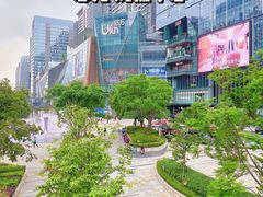 -合景·悠方(成都店)