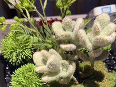 -百富源·海鲜辽菜(浑河堡店)