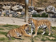 -南京金牛湖风景区