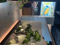 -蜜桃餐厅·伴山(绿宝广场店)