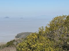 -普陀山风景区-佛顶山