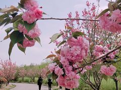 -自然谷恐龙园