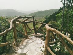 -铜川市金锁关石林