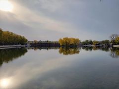 -后海公园