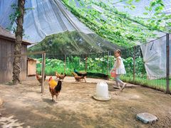 -前小桔亲子创意农场·草莓采摘·露营烧烤