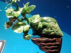 -绮丽珊瑚(台北101旗舰门市店)