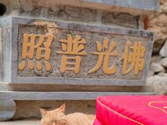-四门塔风景区