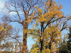 -苏州碑刻博物馆