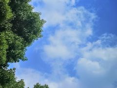 -小菜园新徽菜(合肥瑶海万达店)