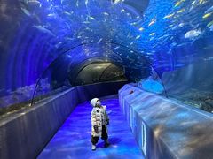 -太平洋海底世界