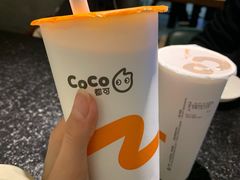 -CoCo都可(漫乐城店)