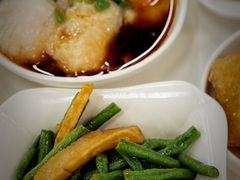 -复旦大学本部-食堂