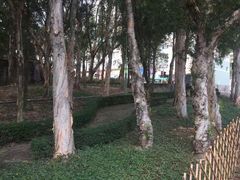 -九龙寨城公园