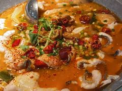 -龙梅肥肠鱼(明瓦廊店)