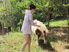 -森波拉奇妙世界