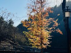 -白水寺森林公园