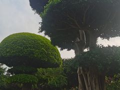 -南宁南湖公园