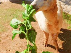 -南京金牛湖风景区