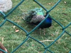 -云南艺术学院(呈贡校区)