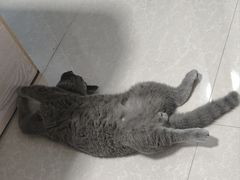 -联合动物医院(光谷诊疗中心)