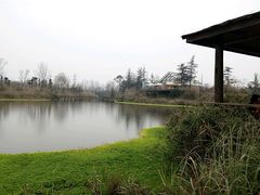 -桤木河湿地公园