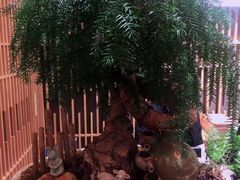 -梅间堂茶馆(绿地缤纷城店)