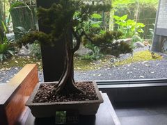 -大妙火锅·非物质文化遗产(东湖公园店)