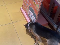 -MARSMART PETS火星宠物超市(1733店)