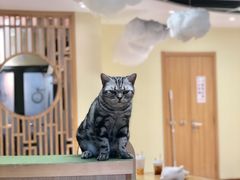 -猫和宫(六道口店)